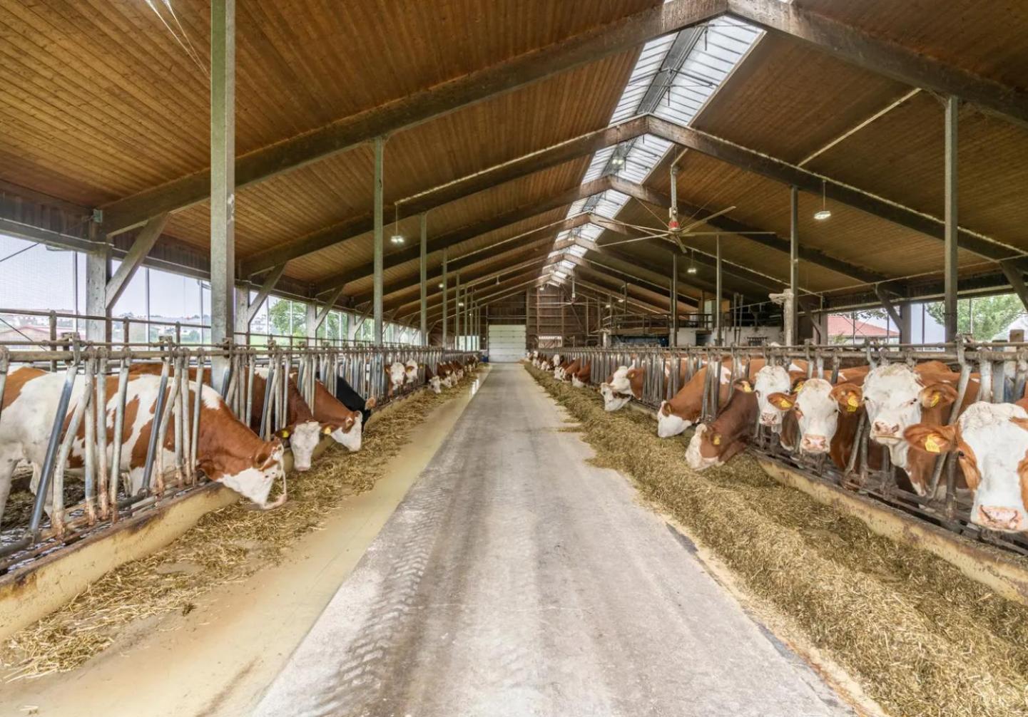 Ferienwohnung Eberlhof Schechen Exterior foto